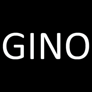 Gino IPTV Subscription 12 Months