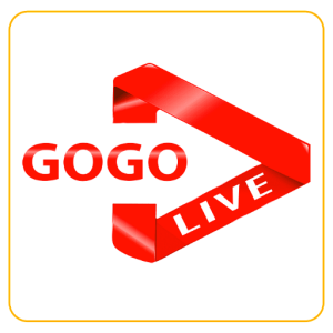 Gogo IPTV 12Months Subscription